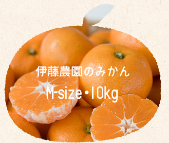 伊藤農園のみかん/Mサイズ・10kg