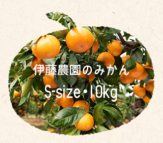 伊藤農園のみかん/Sサイズ・10kg